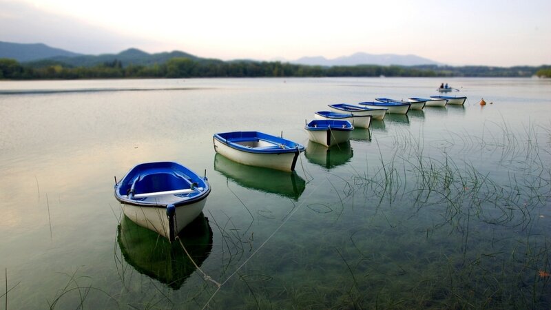 Blue Rowboats on Lake