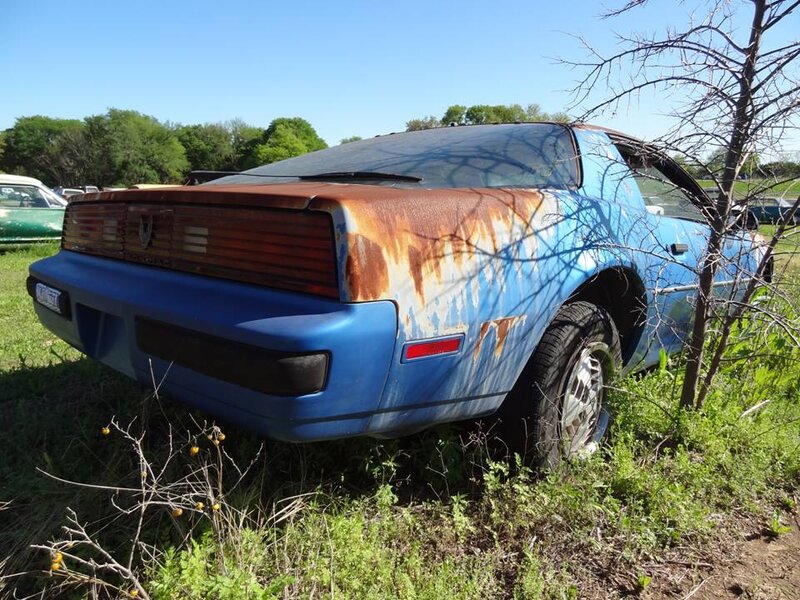 Blue Rusted Car — Overgrown