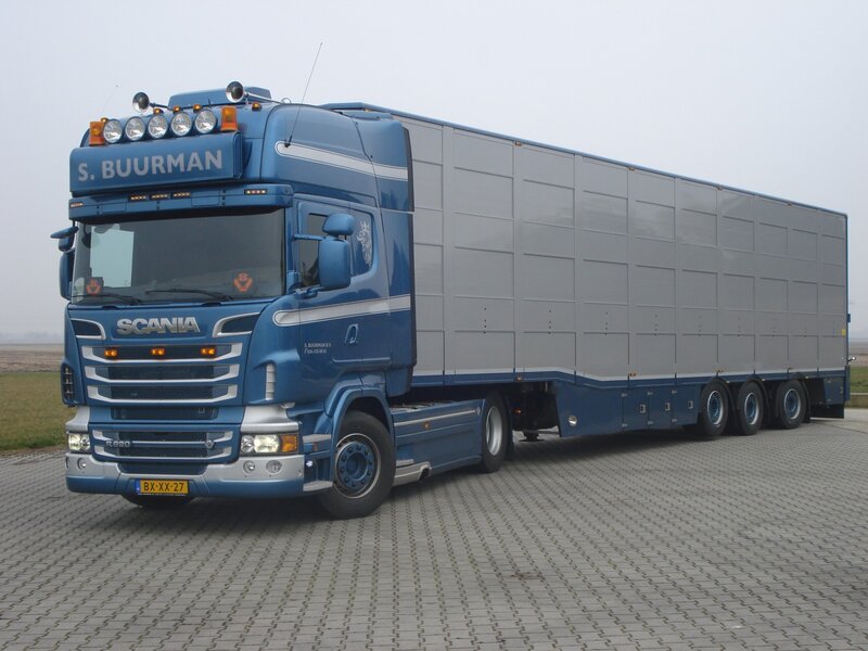 Blue Scania Truck — Neutral