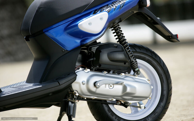 Blue Scooter Rear View — Neutral