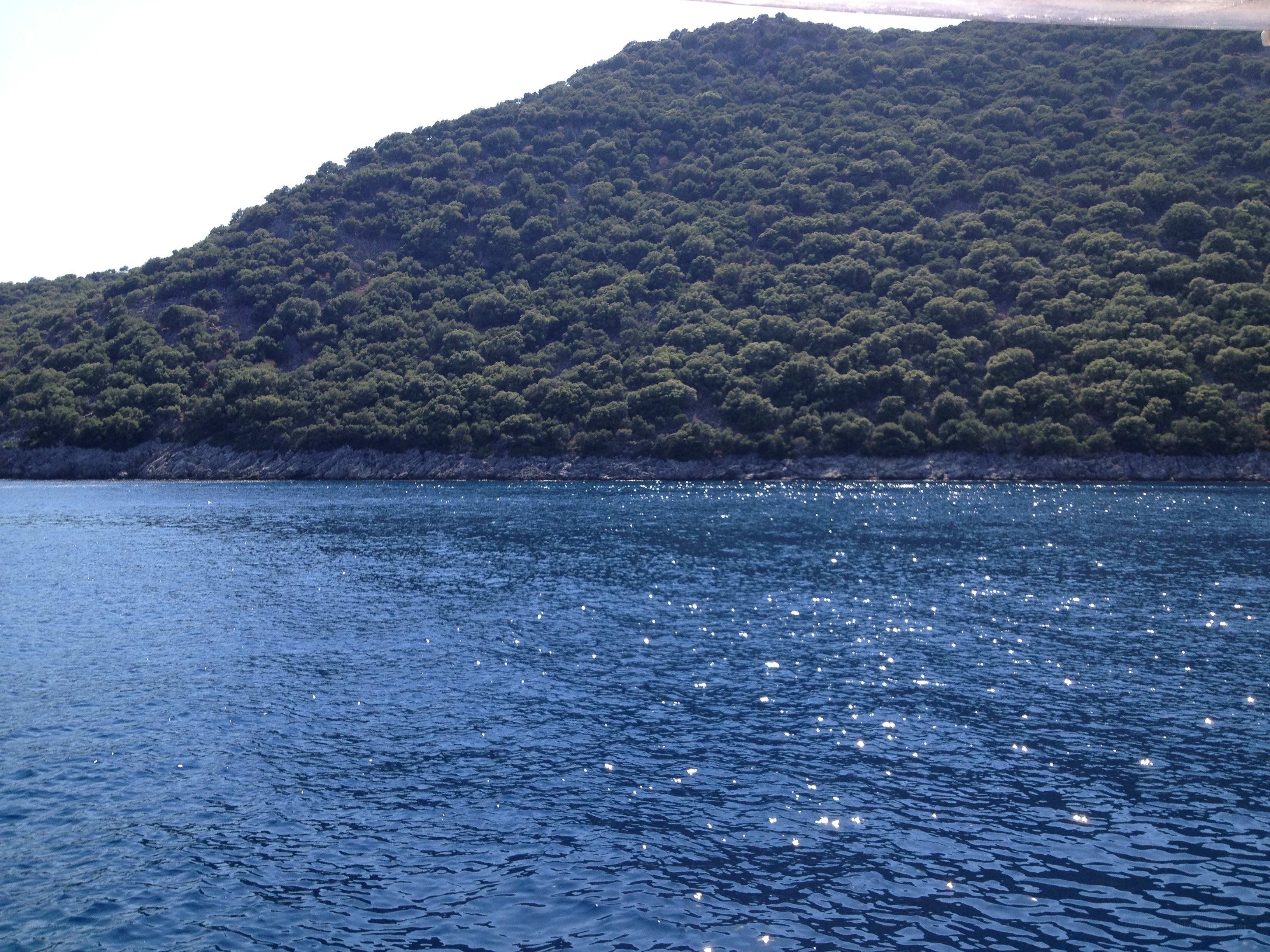 blue sea and forested hill