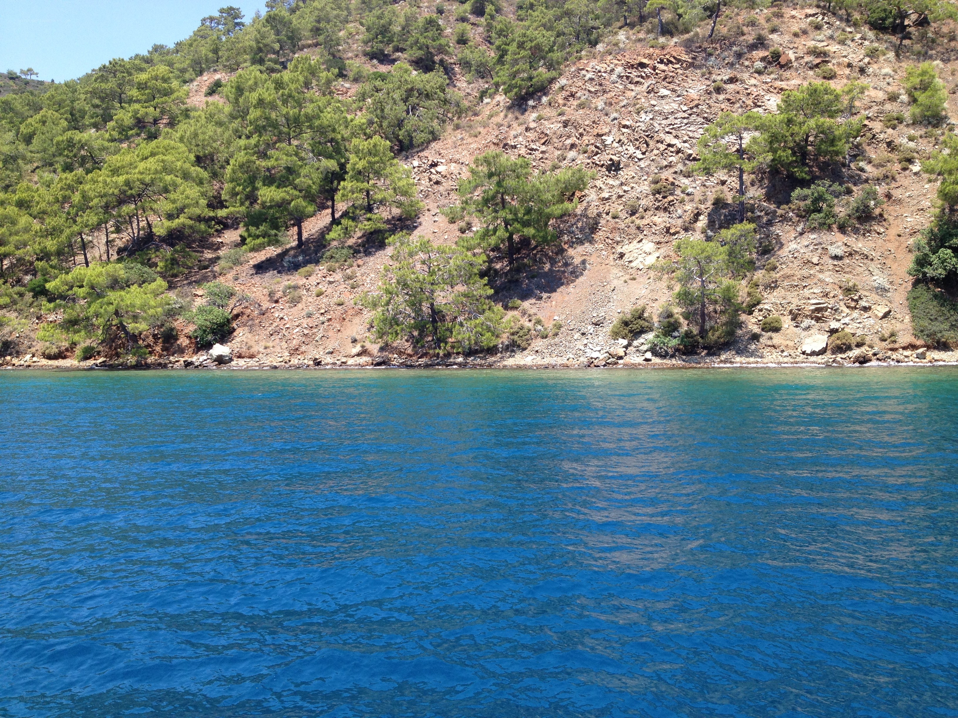 Blue sea and forested hillside
