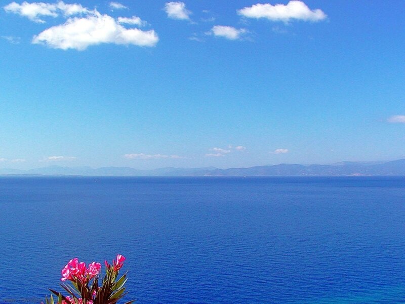 Blue sea and sky with flowers