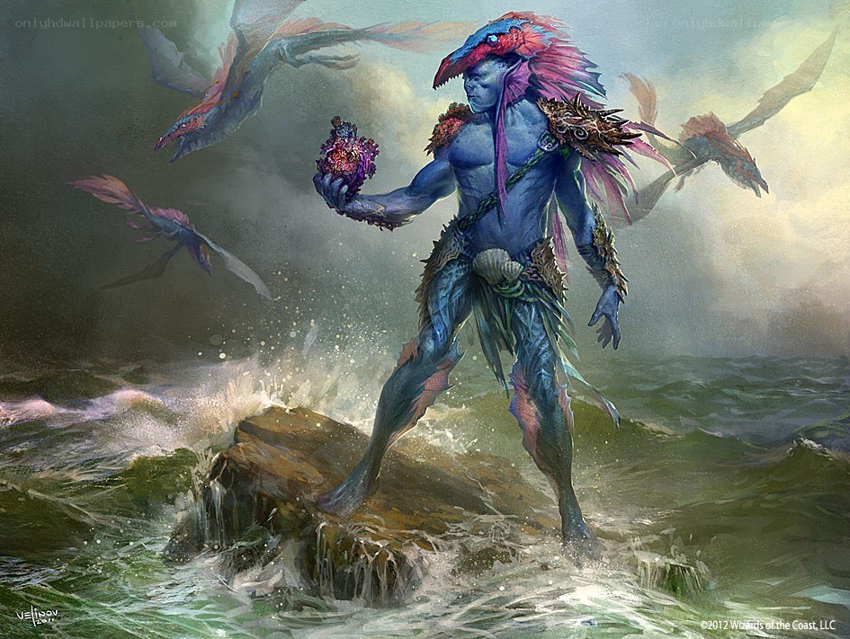 Blue sea creature on a rock