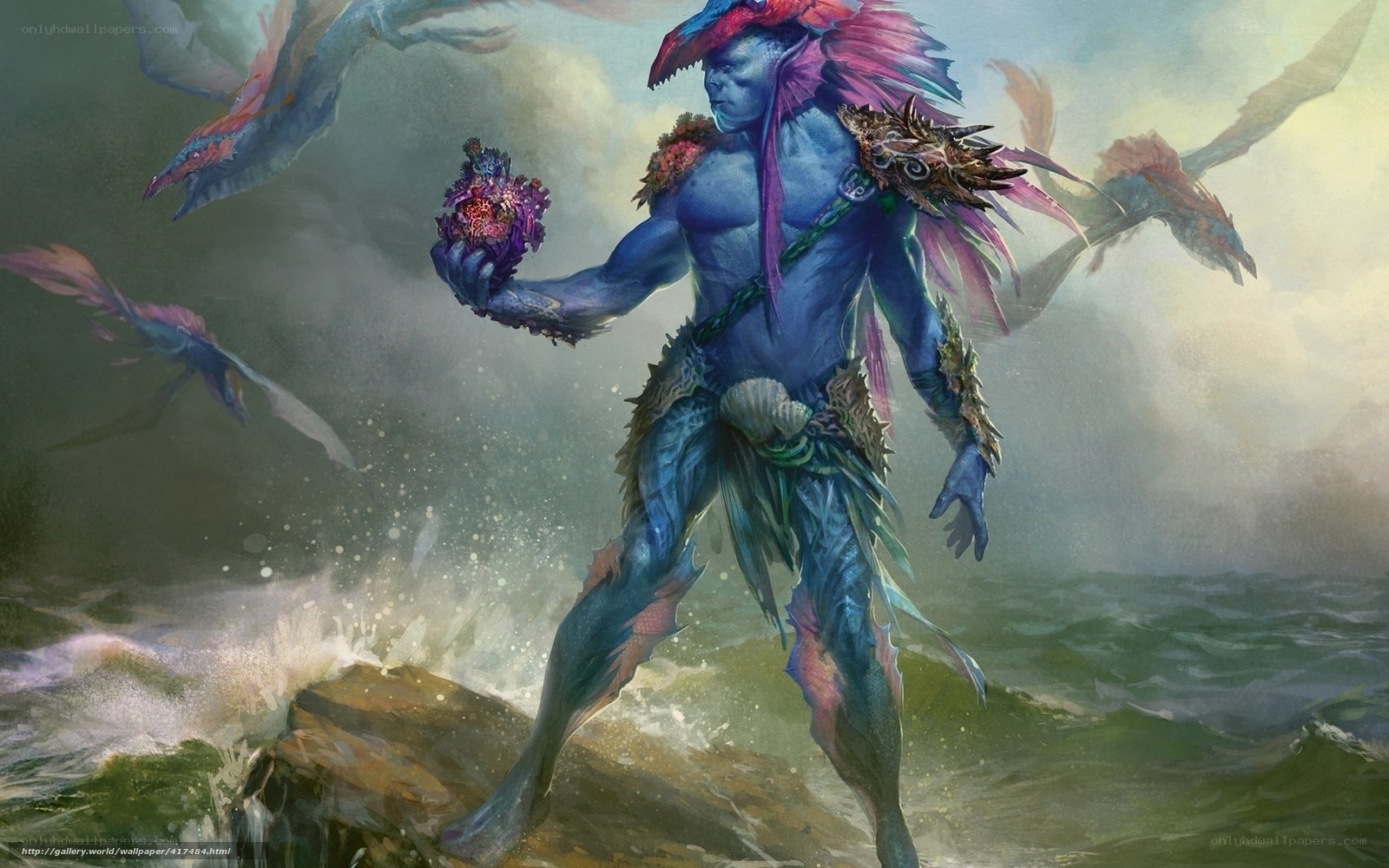 blue sea creature on rocky shore
