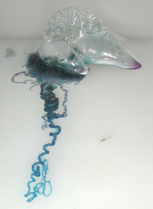 Blue sea creature on white surface