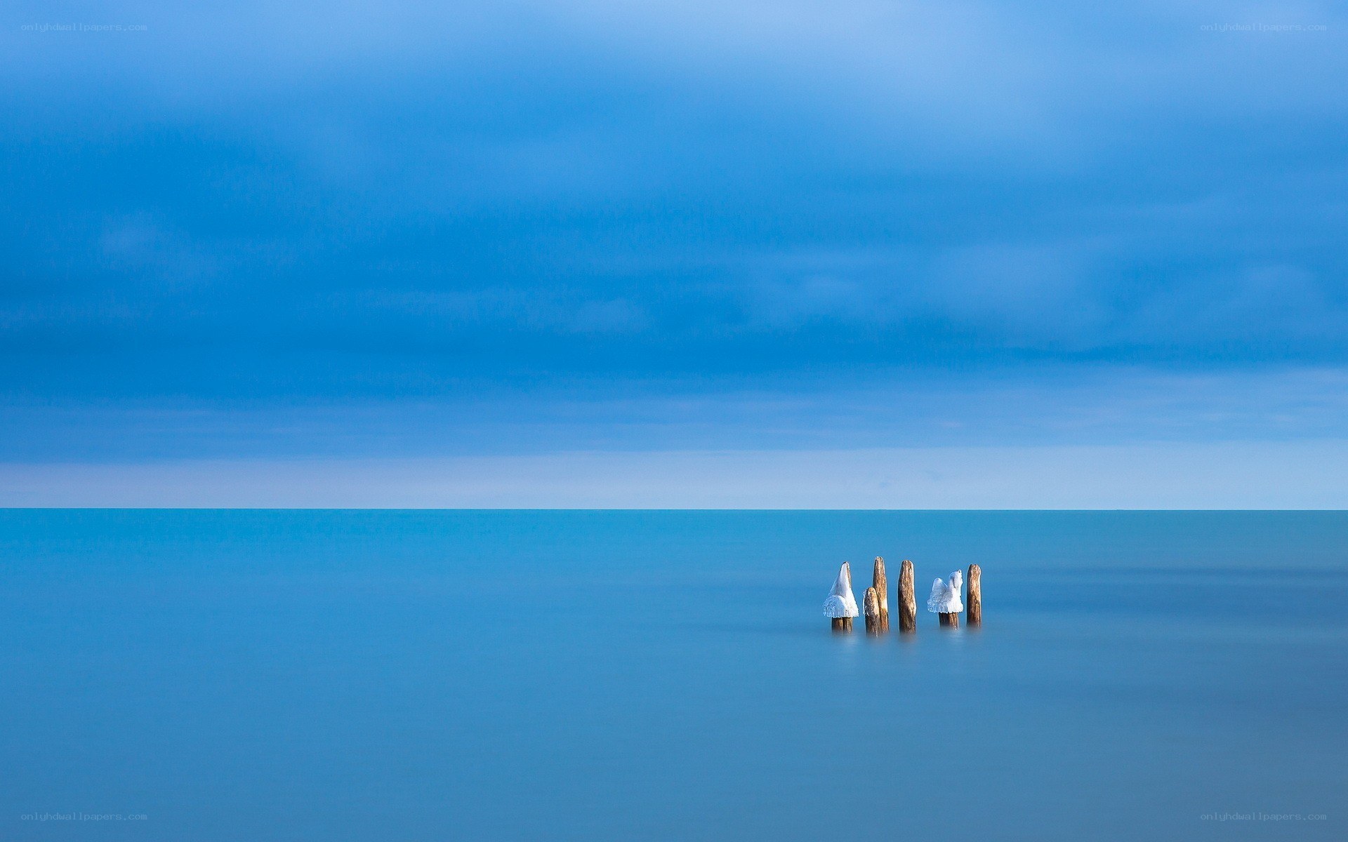 Blue sea with wooden posts
