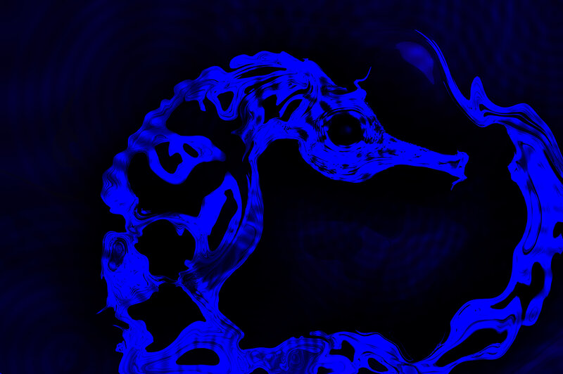 Blue Seahorse Shape