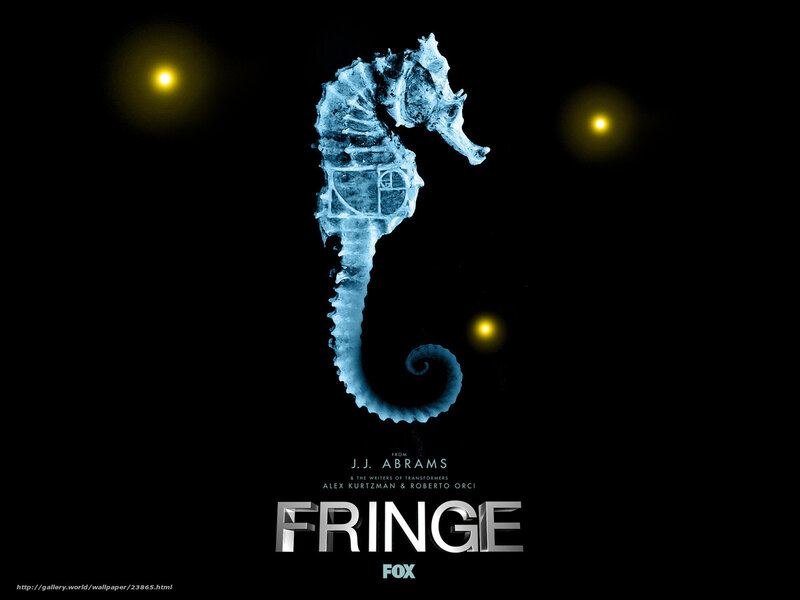 Blue Seahorse X-ray