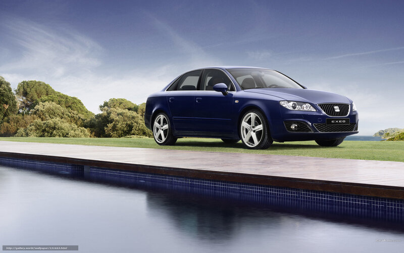 Blue SEAT Exeo by pool
