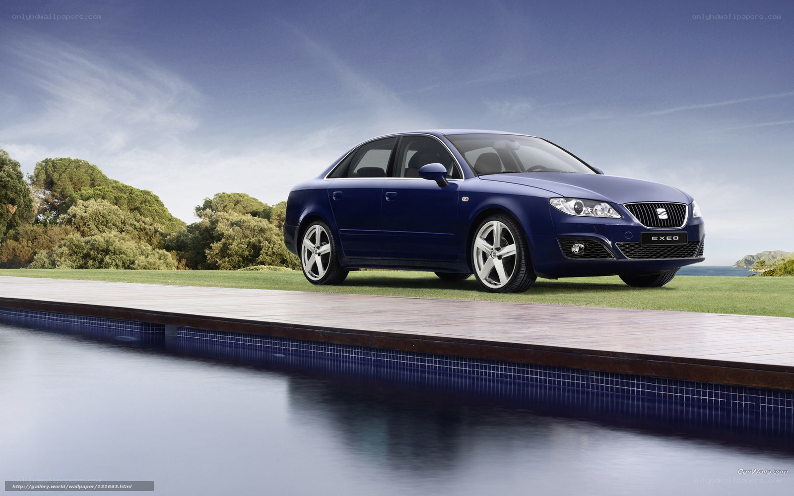 Blue SEAT Exeo by pool