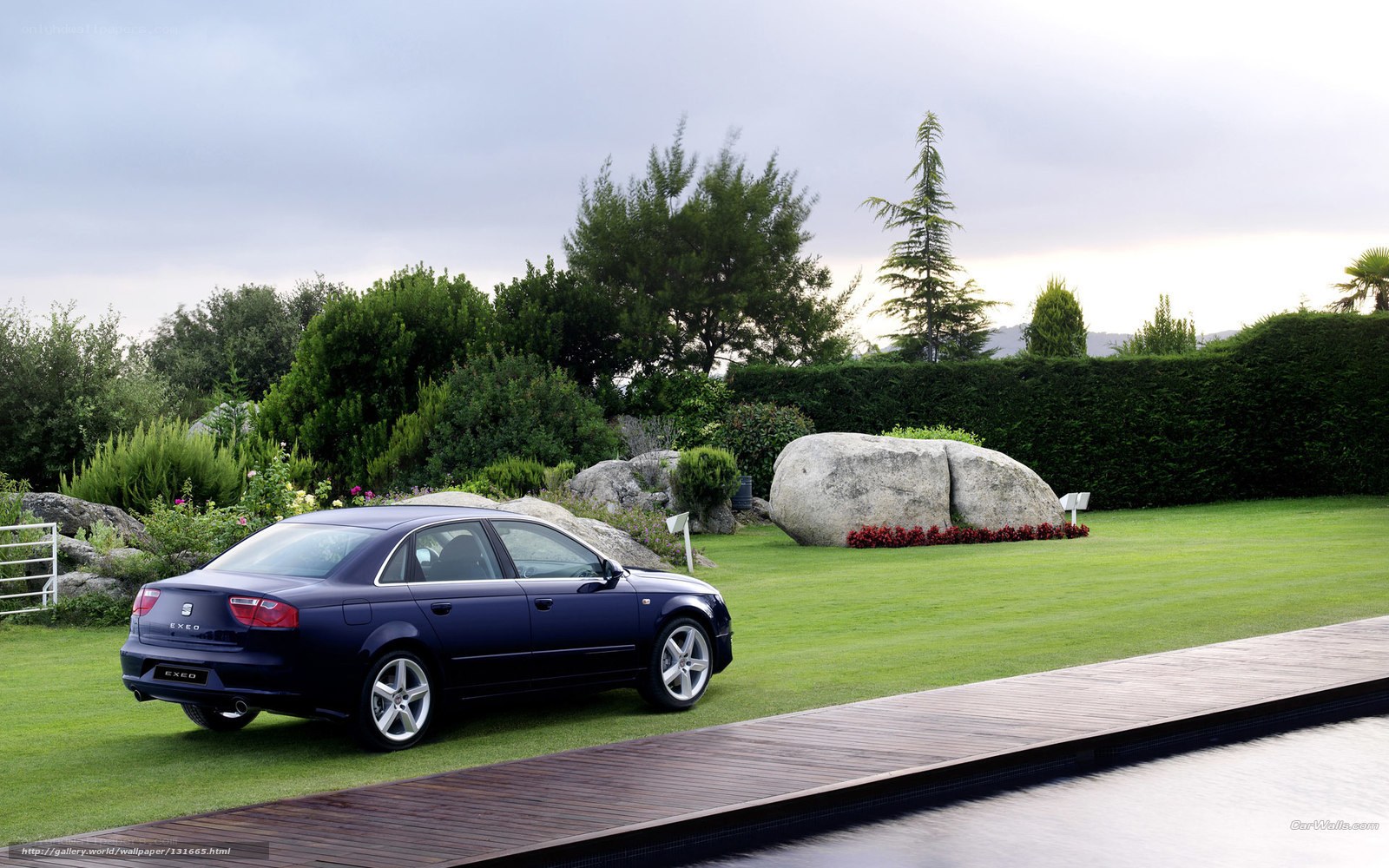 Blue SEAT Exeo on a lawn