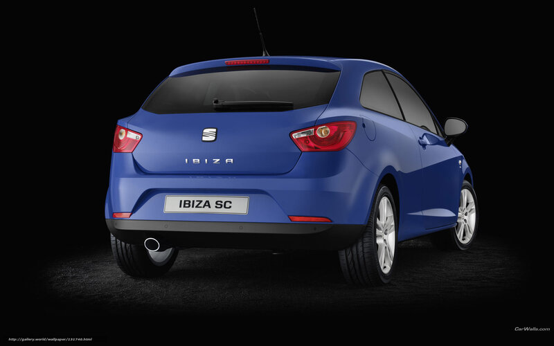 Blue SEAT Ibiza SC rear view