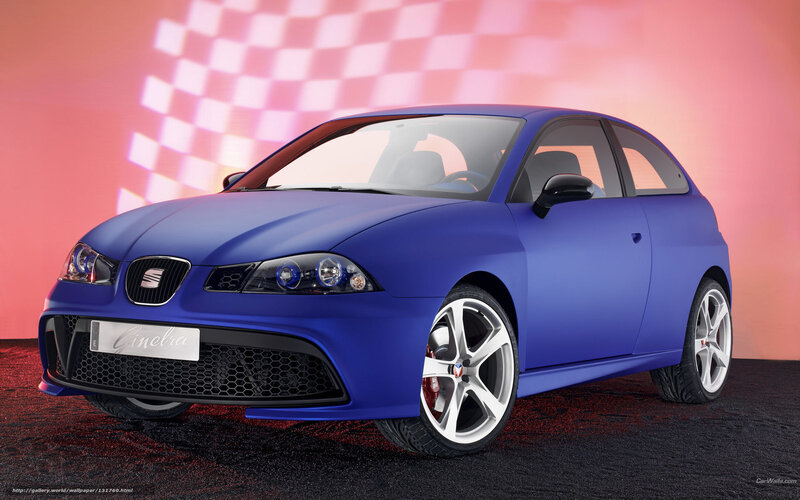 Blue SEAT Leon Car