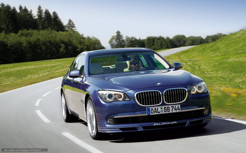 Blue Sedan Car — Dynamic, Afternoon, Photograph, Driver, Road, Trees