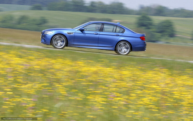 Blue Sedan Car — Dynamic, Spring
