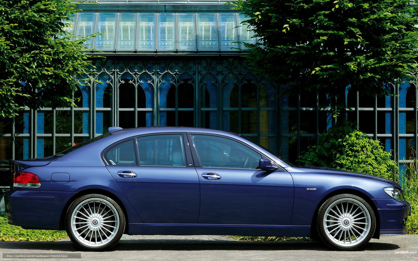 blue sedan car in garden
