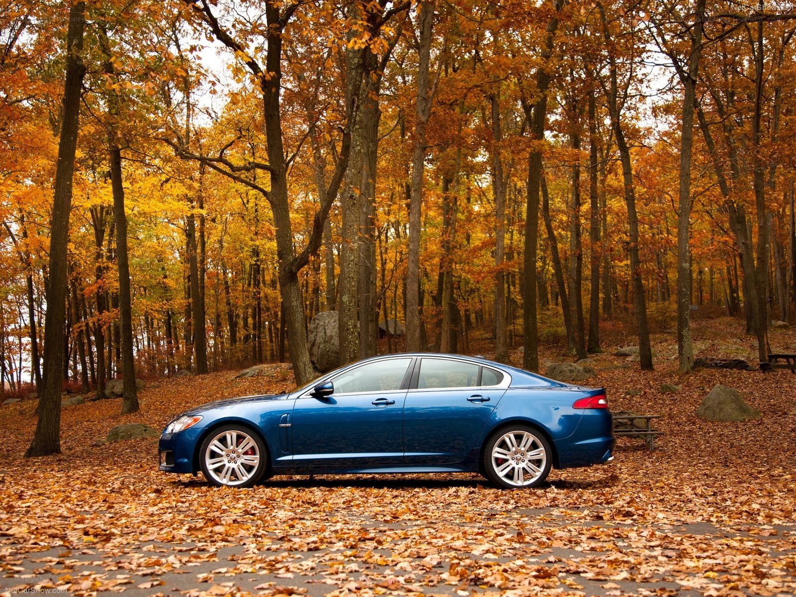 Blue sedan in autumn forest