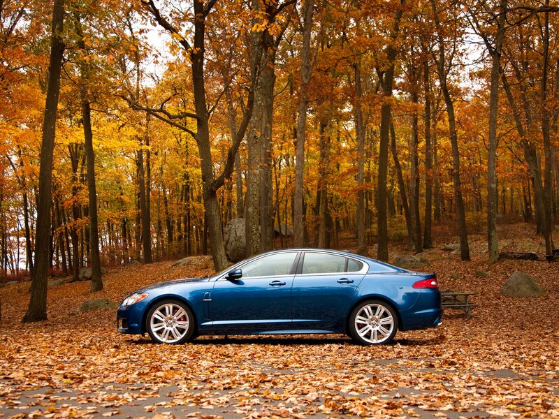 Blue Sedan in Forest