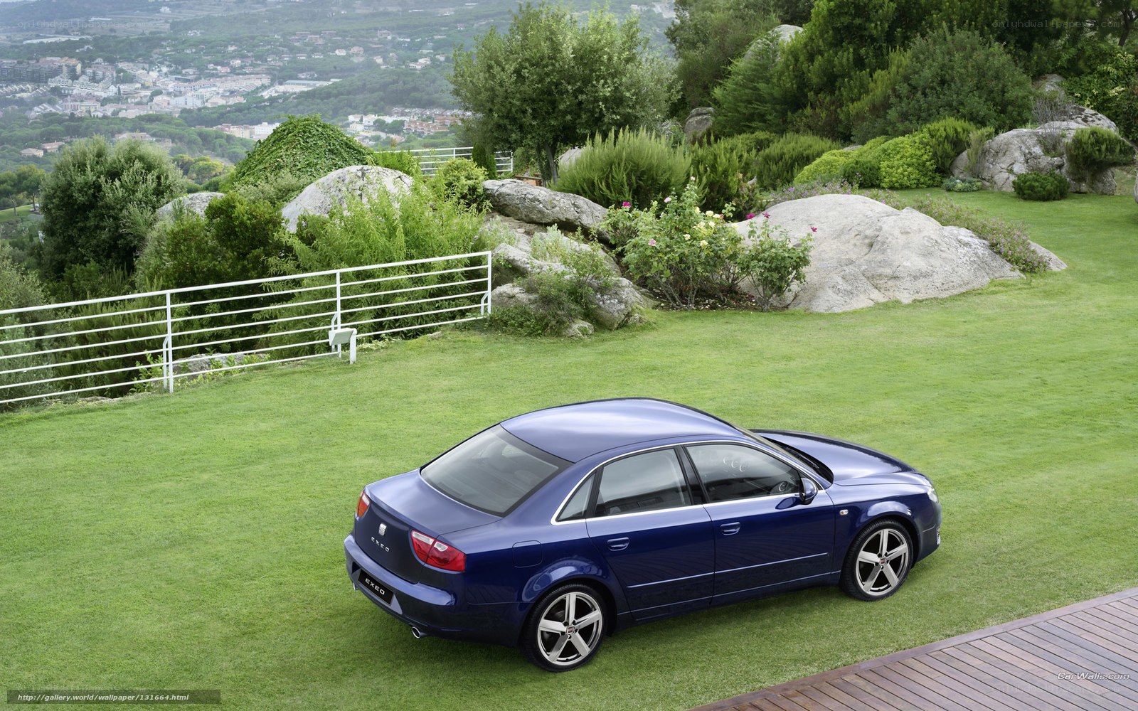 Blue sedan on a grassy hill