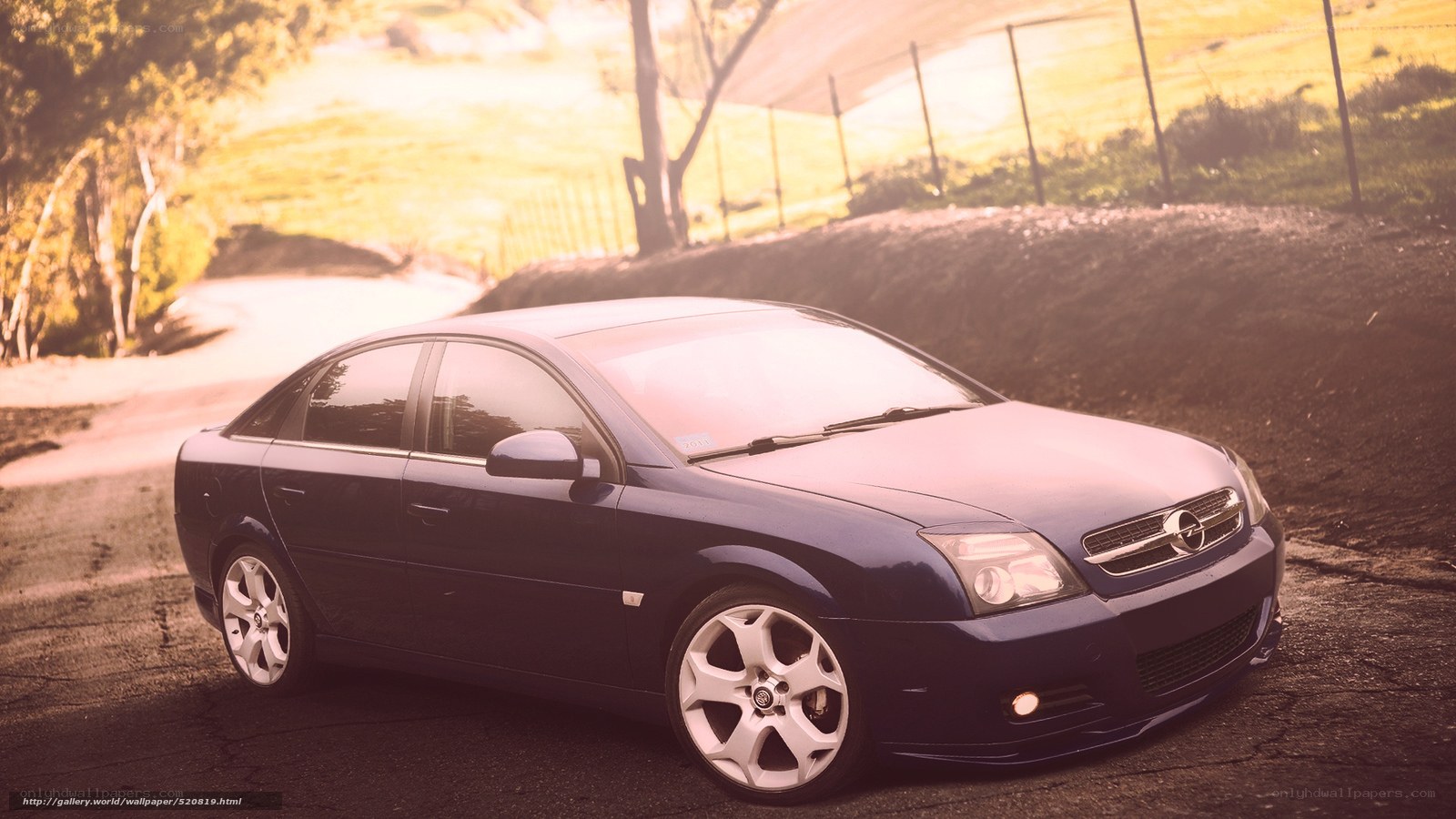 blue sedan on a road