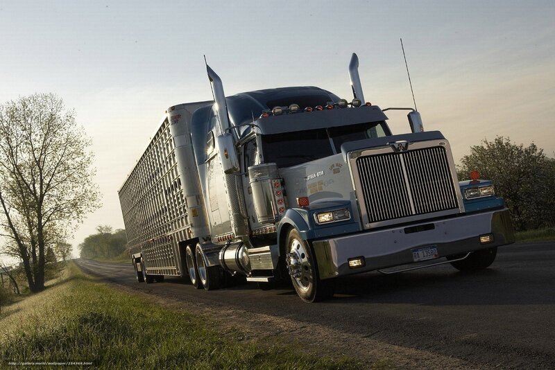 blue semi-truck on country road