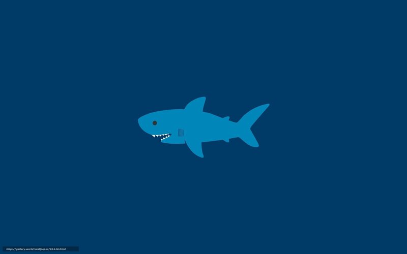 Blue shark illustration