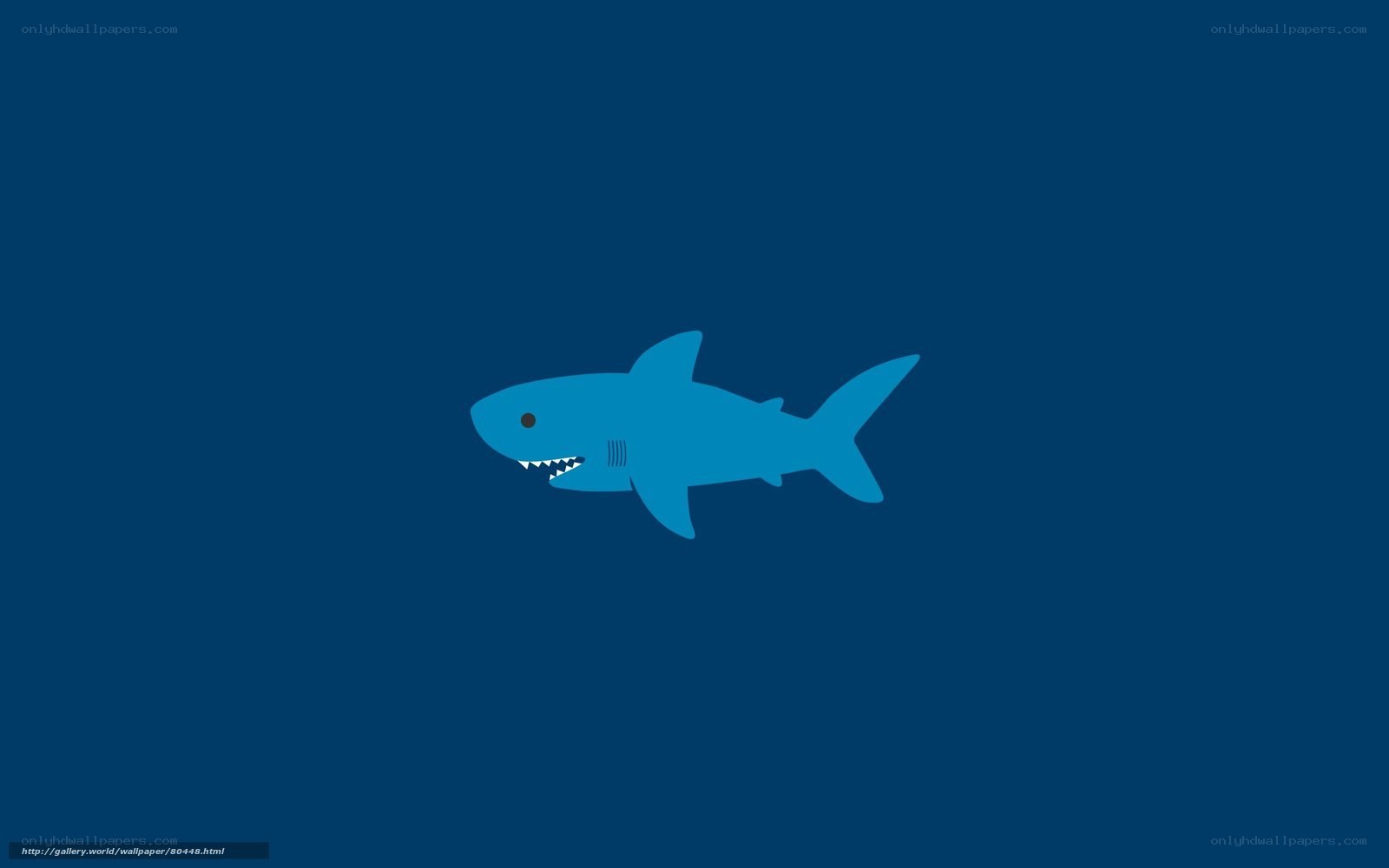 Blue shark illustration