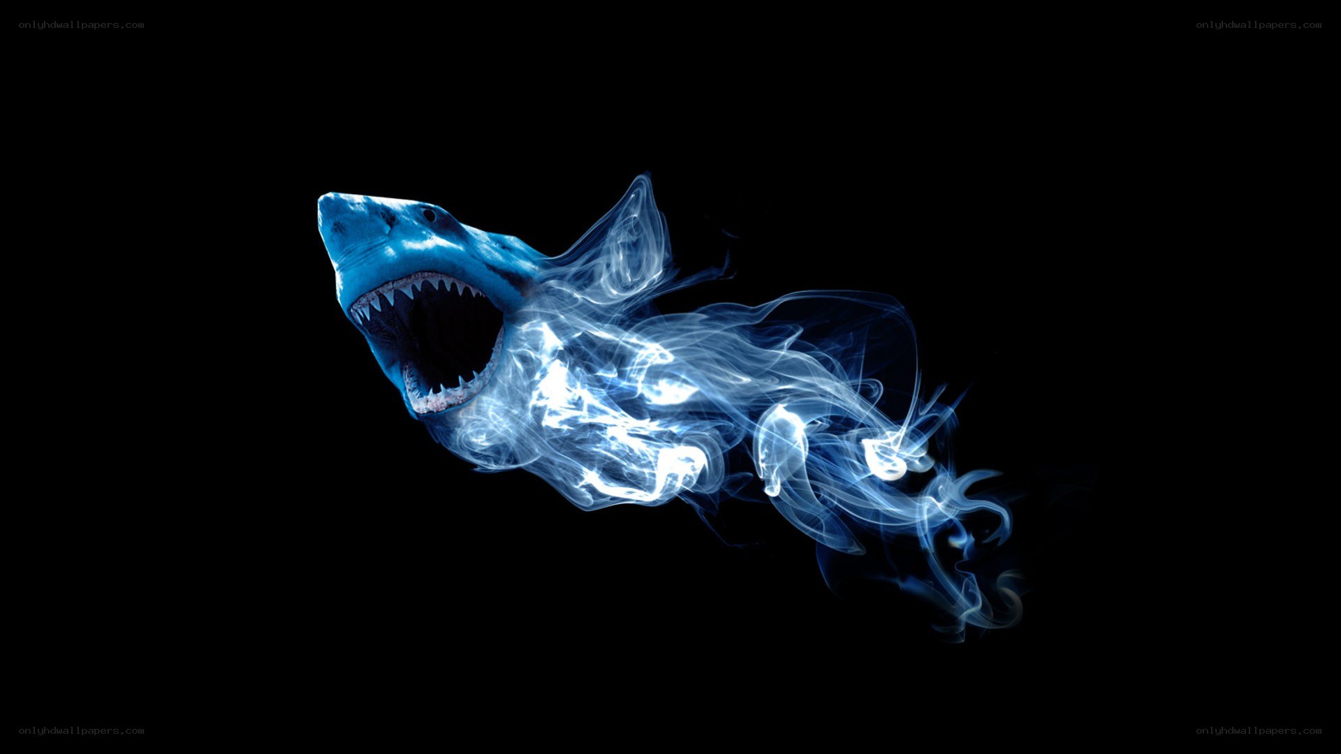 blue shark in smoke