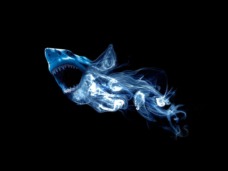 Blue Shark with Smoke — Black