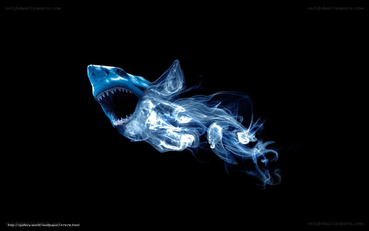 blue shark with smoke