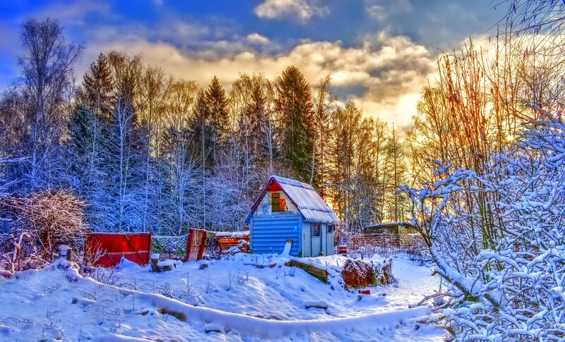 Blue Shed in Snow — Serene