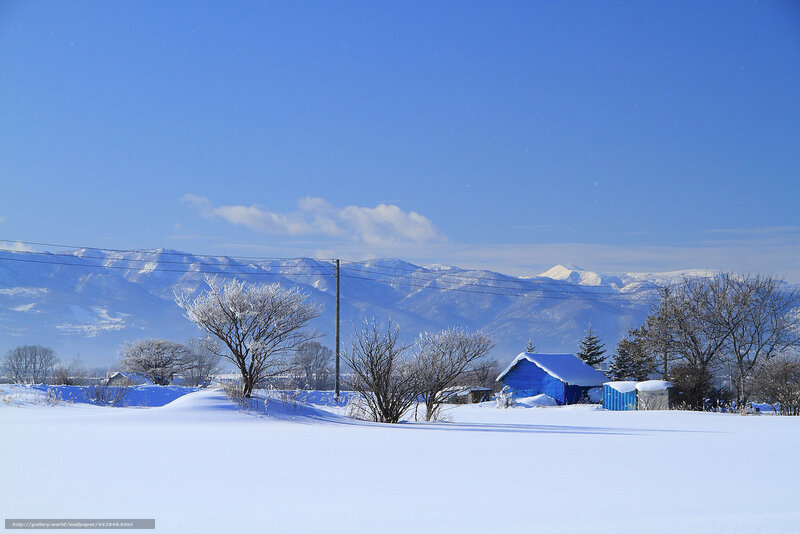 Blue Shed in Snow — White