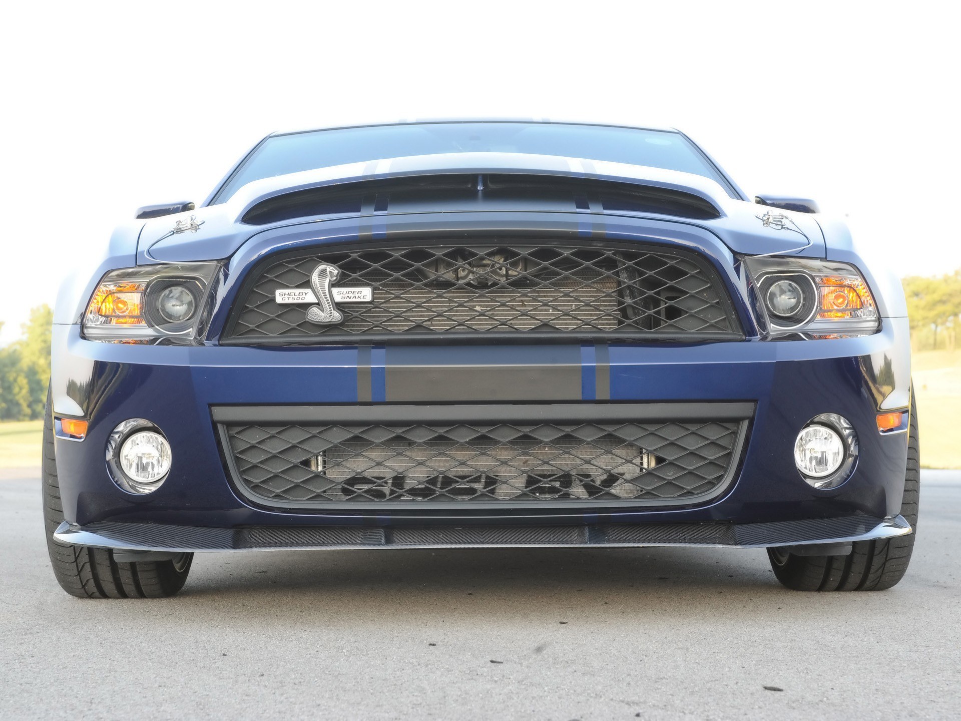 blue shelby gt500 front view