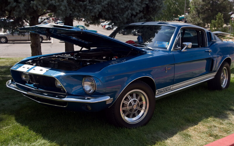 Blue Shelby GT500KR classic car