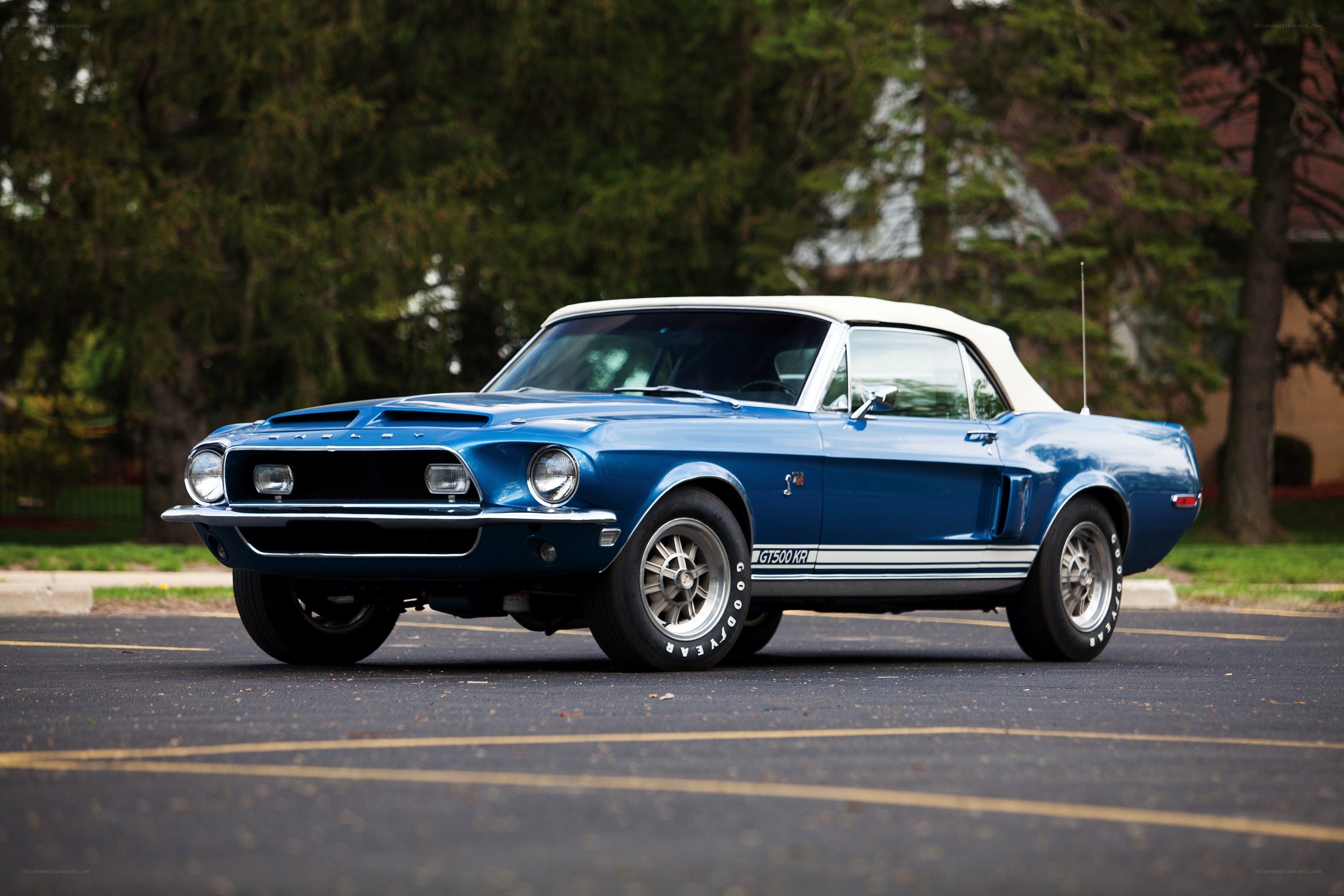 Blue Shelby GT500KR convertible