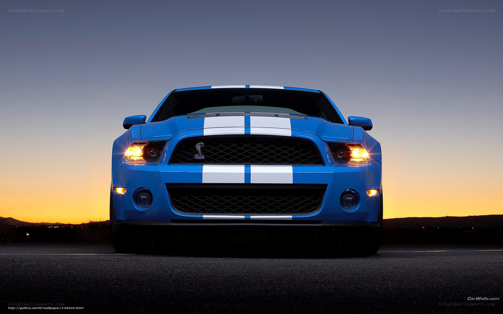 Blue Shelby Mustang at sunset