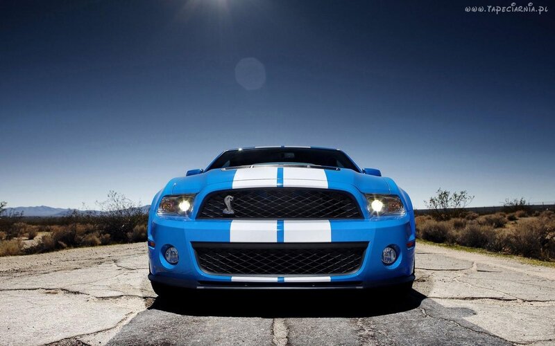 Blue Shelby Mustang — Dramatic, Afternoon