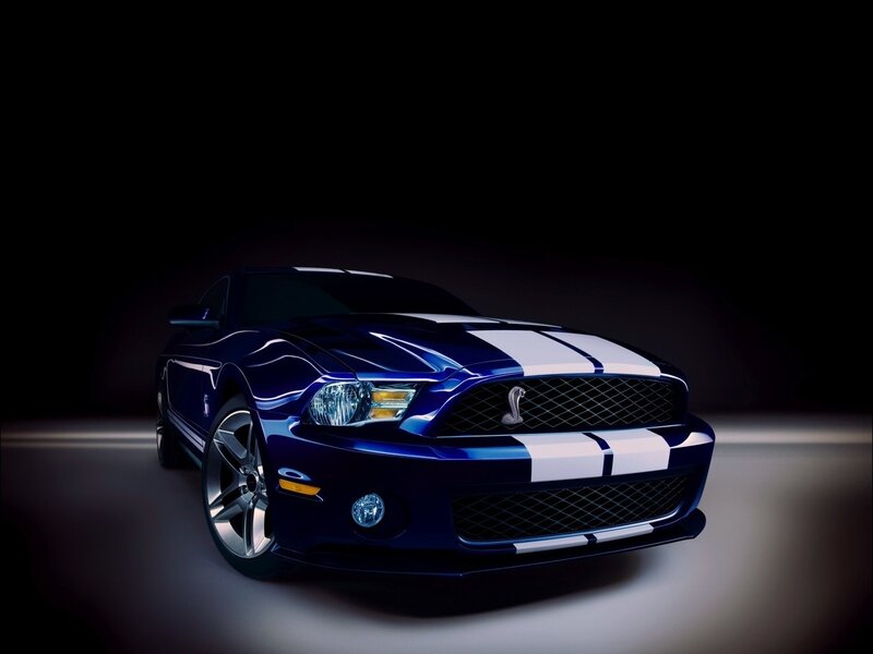 Blue Shelby Mustang — Dramatic, Photograph, White Racing Stripes, Silver Wheels, Grille, White, Black