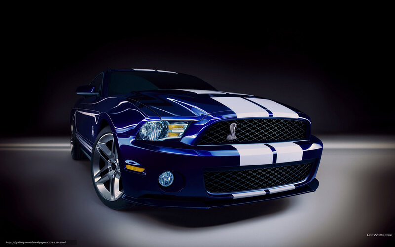 Blue Shelby Mustang — Dramatic, Photograph, White Racing Stripes