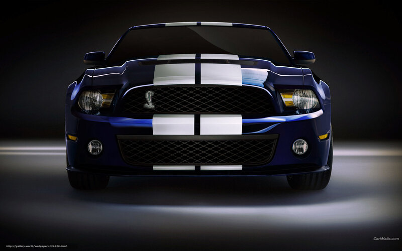 Blue Shelby Mustang with stripes