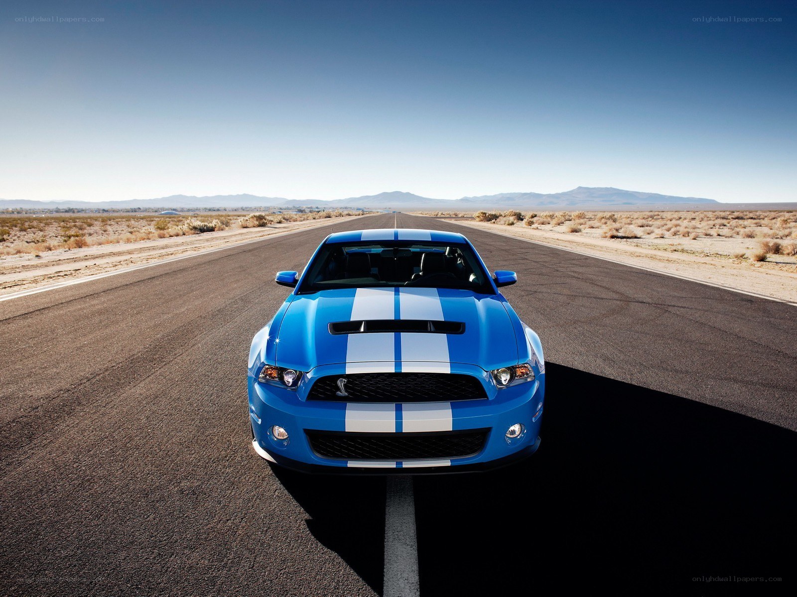 Blue Shelby on desert road