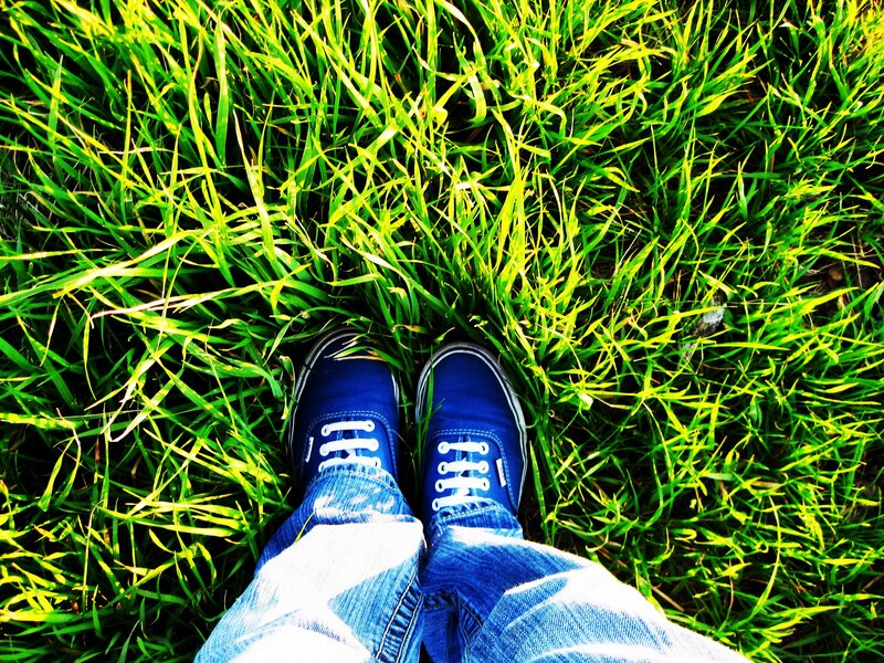 blue shoes on green grass
