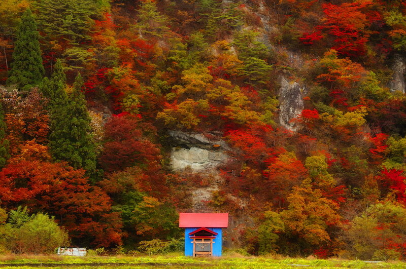 Blue Shrine in Forest