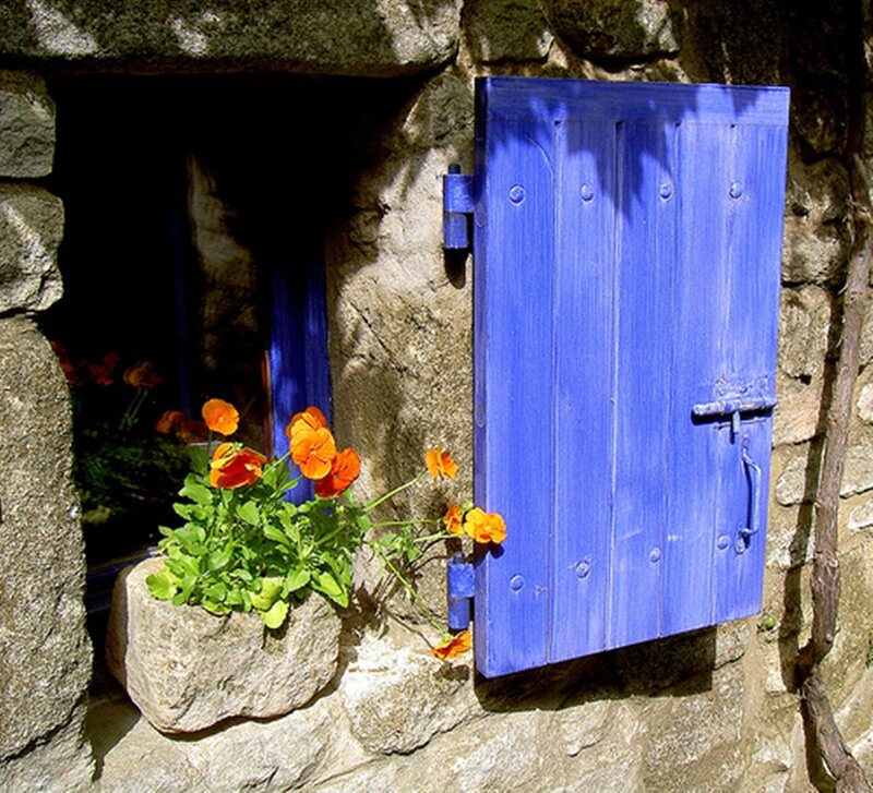 Blue Shutter with Flowers