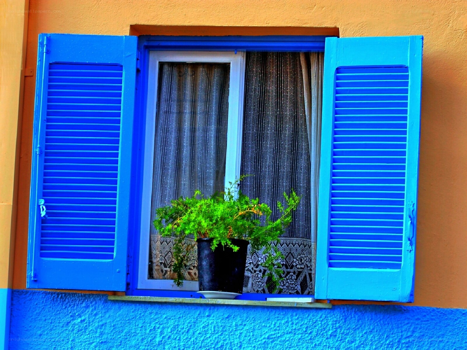 blue shutters on a colorful wall