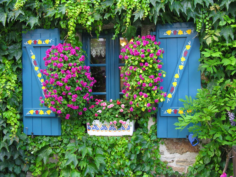 Blue Shutters with Flowers — Green