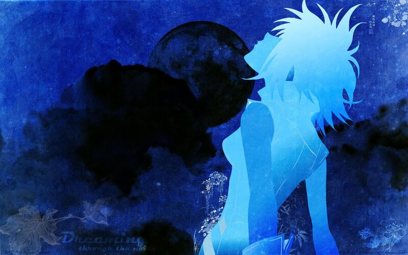 blue silhouette under moonlight