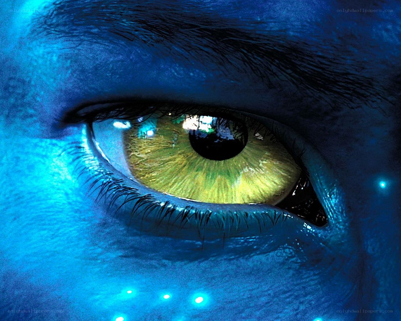 blue-skinned eye close-up