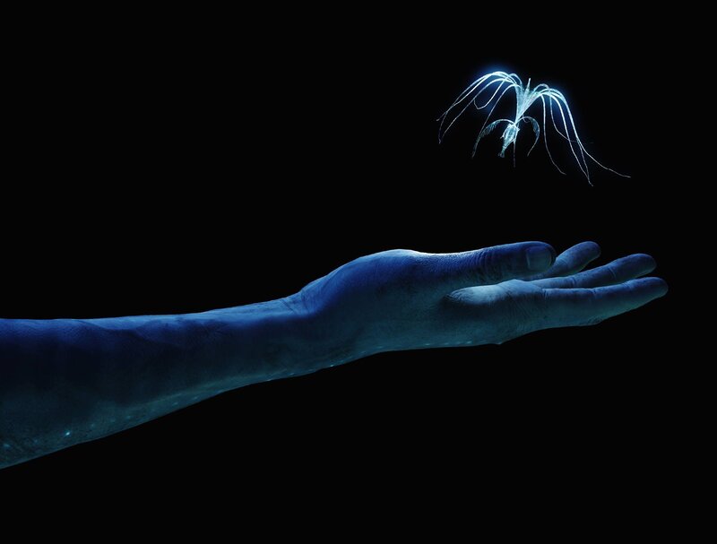 Blue-skinned Hand Holding Light